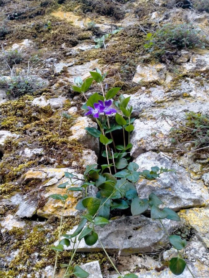 Pettorano sul Gizio Casa In Splendida Riserva Naturale מראה חיצוני תמונה